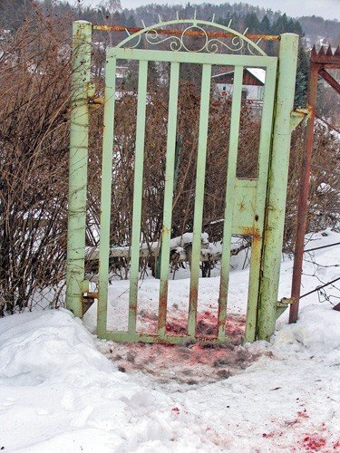 smierc-pieknych-saren-drastyczne-zdjecia-31595