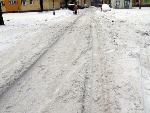 zabobrze-w-sniegu-zakopane-31612