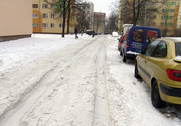 zabobrze-w-sniegu-zakopane-31612