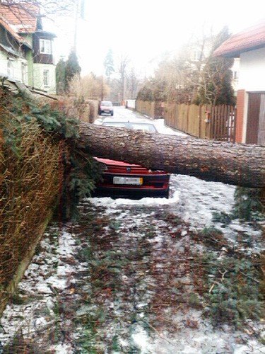 rozszalay-sie-wichry-lutowe-32188