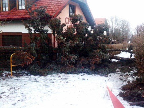 rozszalay-sie-wichry-lutowe-32188
