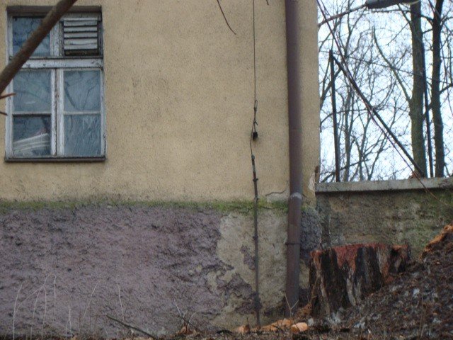 scinka-na-wzgorzu-kosciuszki-dlaczego-32238