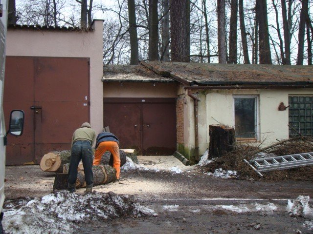 scinka-na-wzgorzu-kosciuszki-dlaczego-32238