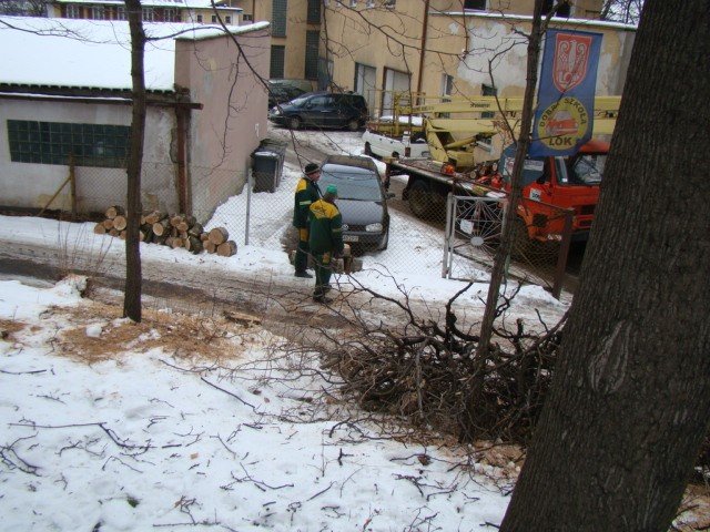 scinka-na-wzgorzu-kosciuszki-dlaczego-32238