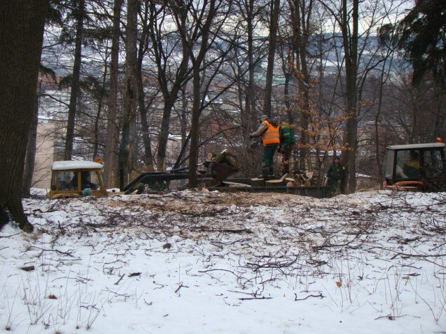 scinka-na-wzgorzu-kosciuszki-dlaczego-32238