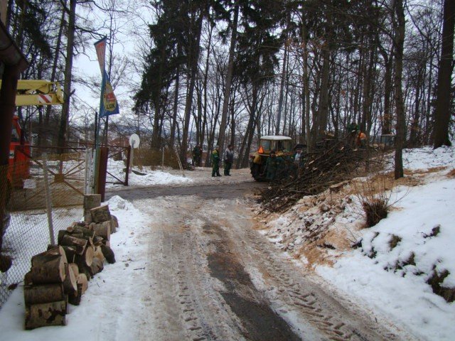 scinka-na-wzgorzu-kosciuszki-dlaczego-32238