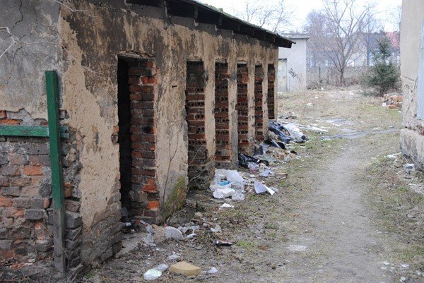 budynki-do-rozbiorki-z-dzikimi-lokatorami-32494