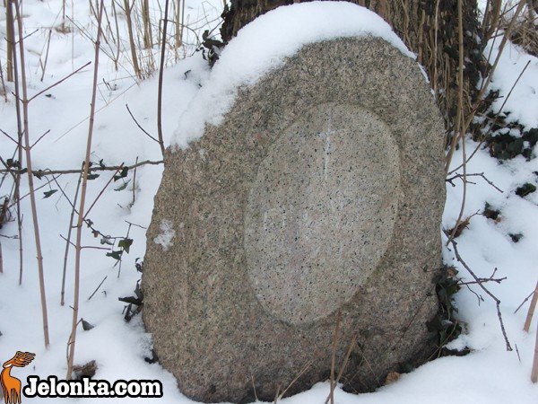 z-ruiny-atrakcja-z-widokami-na-piekna-okolice-32555