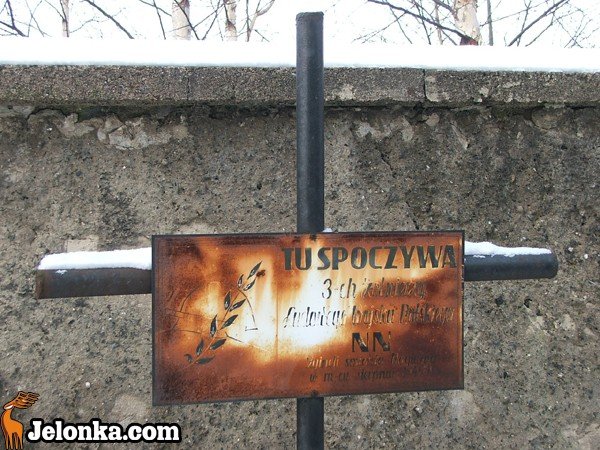 z-ruiny-atrakcja-z-widokami-na-piekna-okolice-32555