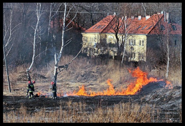pona-aki-pola-ugory-bez-litosci-dla-podpalaczy-32741