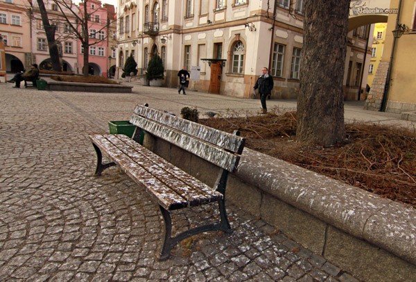 zafajdana-aweczka-tuz-pod-ratuszem-32805