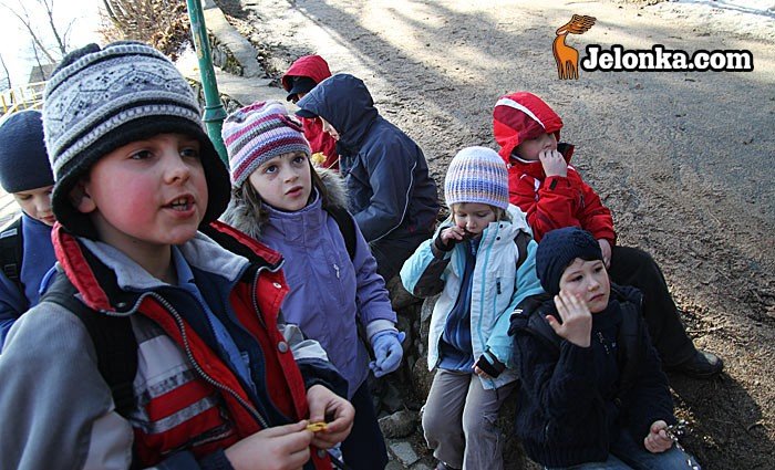 dookoa-karpacza-z-klubem-wedrowca-32877
