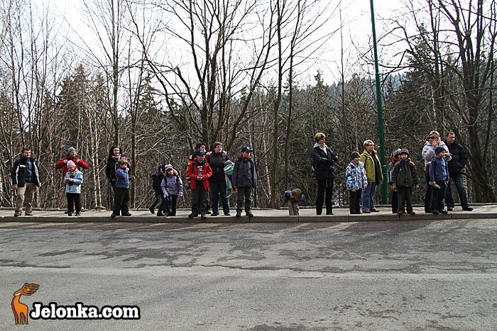 dookoa-karpacza-z-klubem-wedrowca-32877