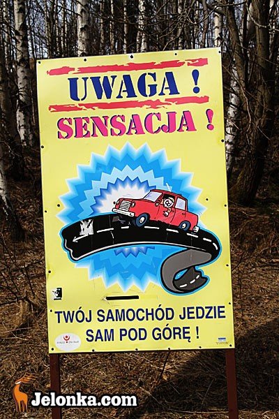 dookoa-karpacza-z-klubem-wedrowca-32877