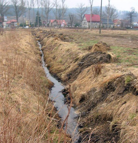 toksyczna-stacja-paliw-podtruwa-bobr-i-radomierke-33037