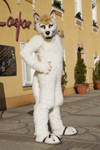 bo-drzemie-w-nich-futrzasta-dusza-33041