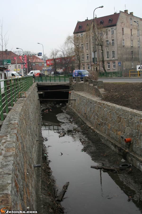 kolejka-chetnych-do-oswietlenia-mynowki-33116