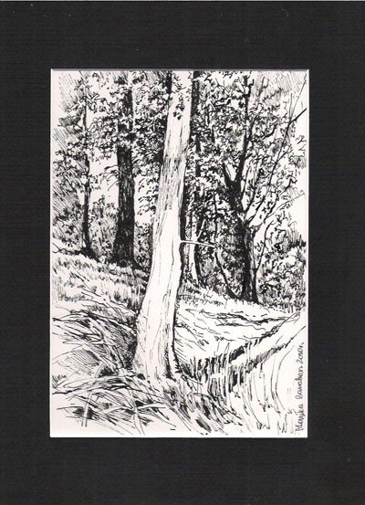 obrazy-natura-tetniace-33247