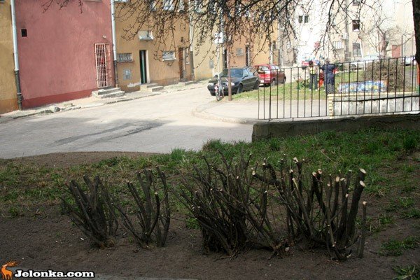 sprzatali-podworka-na-starowce-w-czynie-spoecznym-33381