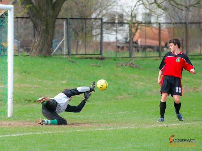 pub-gol-podcia-orowi-skrzyda-33478