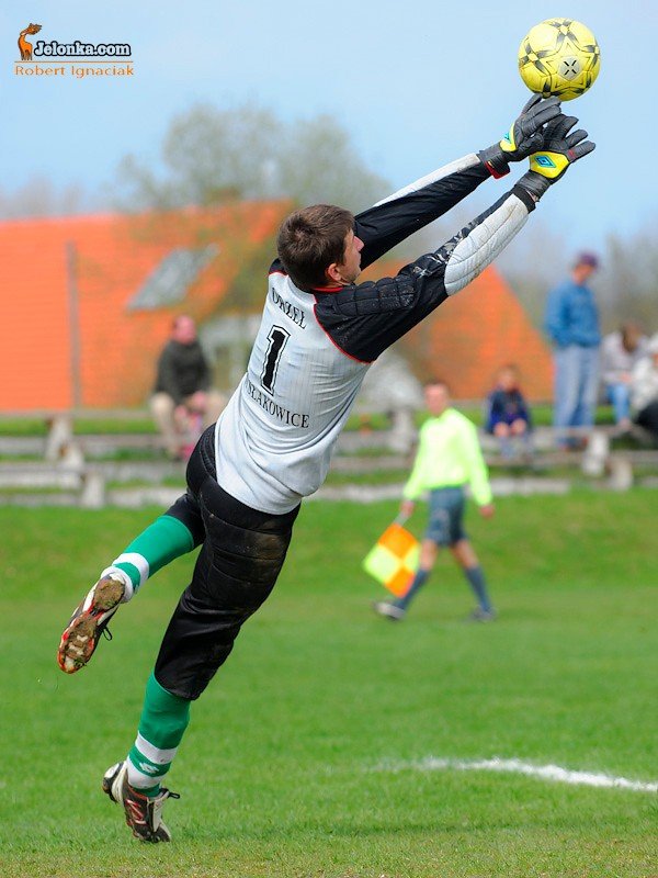 pub-gol-podcia-orowi-skrzyda-33478