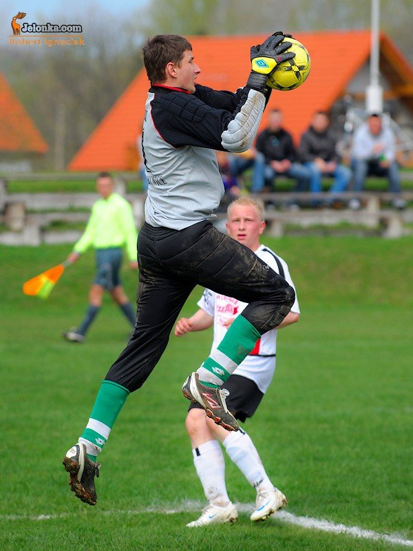 pub-gol-podcia-orowi-skrzyda-33478