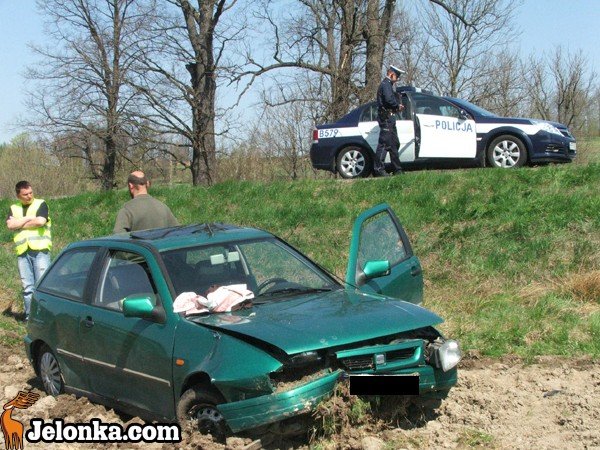 seat-w-rowie-pasazerka-w-szpitalu-winnego-nie-ustalono-33540