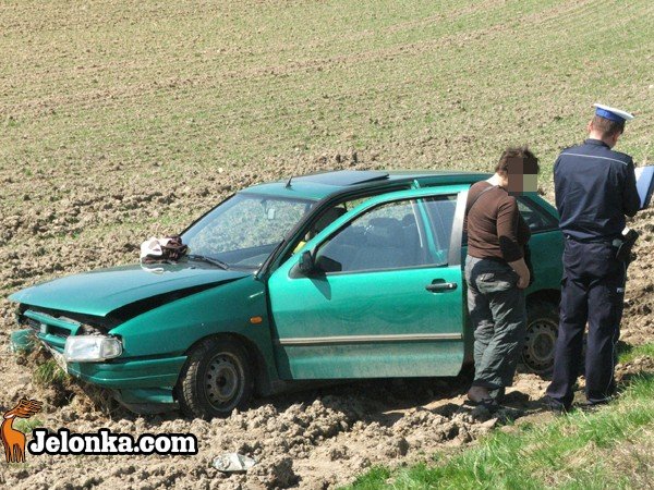 seat-w-rowie-pasazerka-w-szpitalu-winnego-nie-ustalono-33540