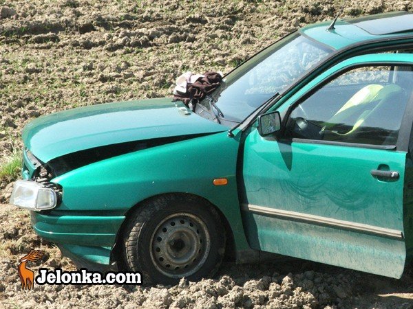 seat-w-rowie-pasazerka-w-szpitalu-winnego-nie-ustalono-33540