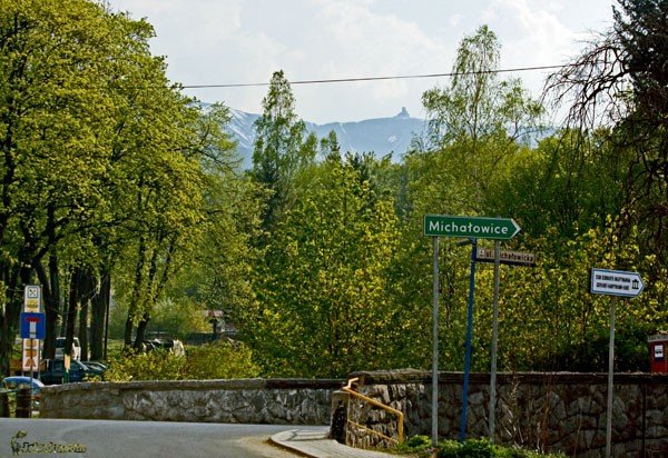 guszce-i-ogrod-botaniczny-wiecej-atrakcji-jagniatkowa-33583