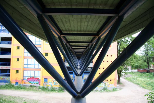 szczeniecy-zomiarze-3359