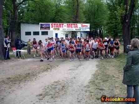 blisko-stu-biegaczy-staneo-na-starcie-crossu-cieplickiego-2011-33744