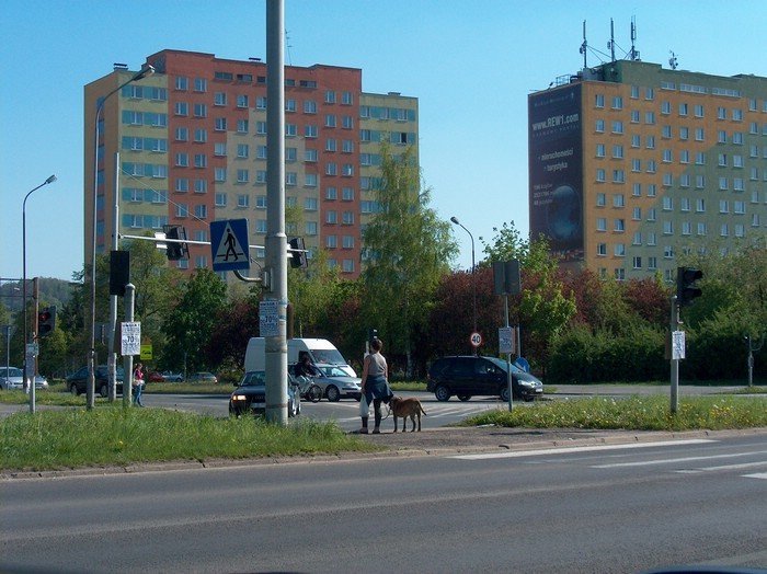 obwiesili-miasto-nielegalnymi-reklamami-33807