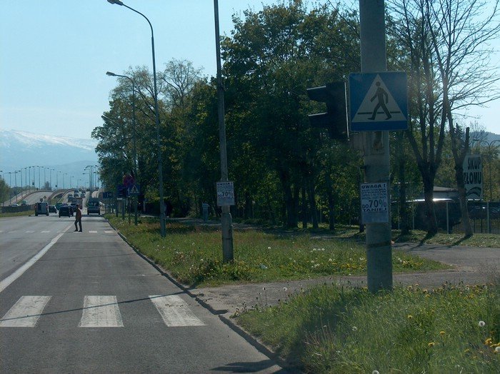 obwiesili-miasto-nielegalnymi-reklamami-33807