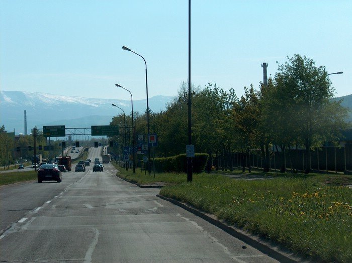 obwiesili-miasto-nielegalnymi-reklamami-33807