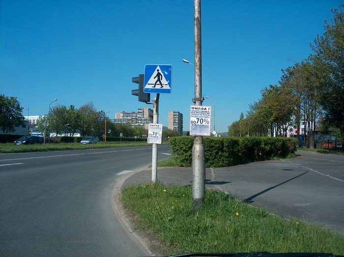 obwiesili-miasto-nielegalnymi-reklamami-33807