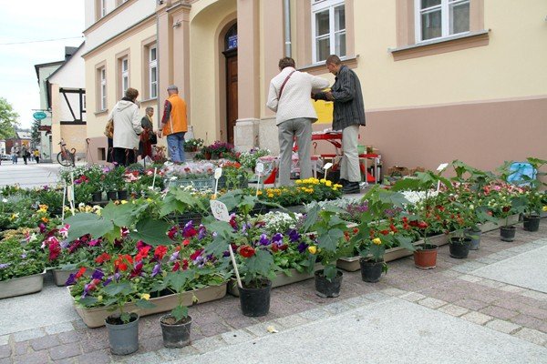 kwiaty-rzemioso-i-przedsiebiorczosc-xxxviii-wiosna-cieplicka-z-safandua-33819