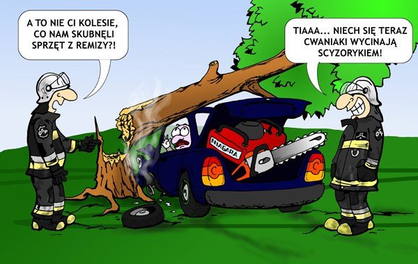 kradzione-nie-tuczy-33878