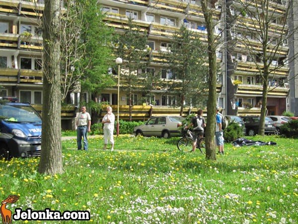 smierc-na-placu-zabaw-przyczyna-nieznana-33880