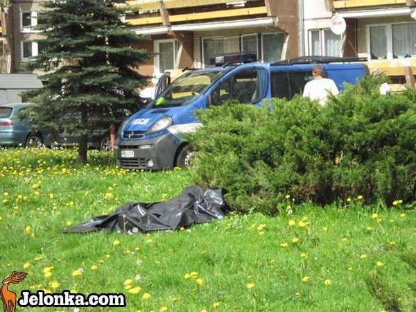 smierc-na-placu-zabaw-przyczyna-nieznana-33880