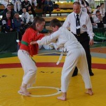 kolejne-starty-zawodnikow-jeleniogorskiego-klubu-shidokan-33931