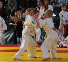 kolejne-starty-zawodnikow-jeleniogorskiego-klubu-shidokan-33931