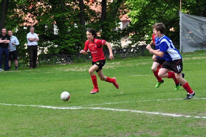 modzicy-chojnika-biora-rewanz-33947