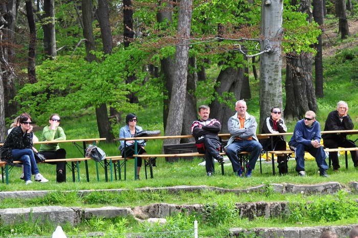 modzicy-chojnika-biora-rewanz-33947