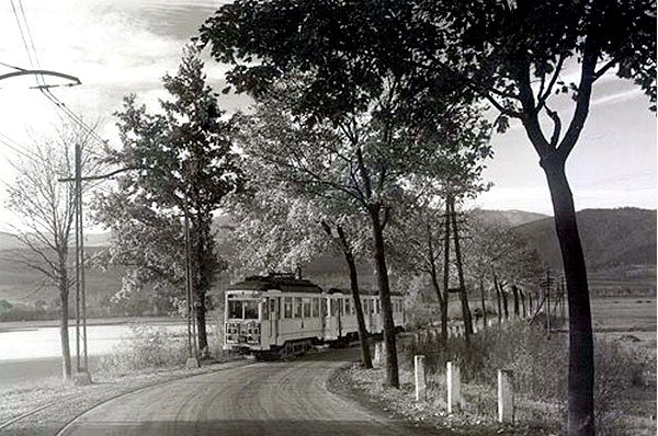 Wiosna przy stawach podgórzyńskich. Trudno dziś uwierzyć, że tamtędy jeździły tramwaje.