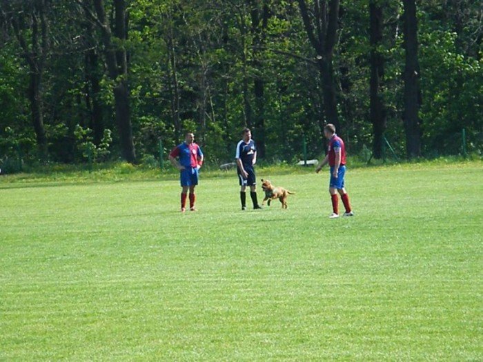 piast-orze-mecz-przerwany-przez-blondynke-34052