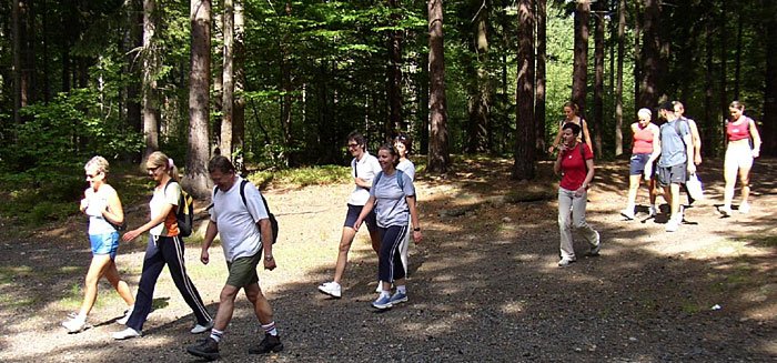 studium-wychowania-fizycznego-kolegium-karkonoskiego-3420