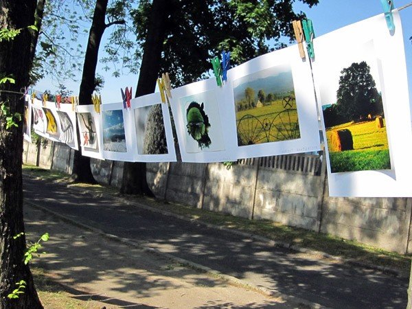artystycznie-i-naukowo-w-rzemiosach-34311