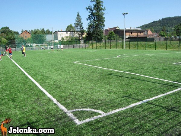 orlik-rozwina-skrzyda-w-sosnowce-34312
