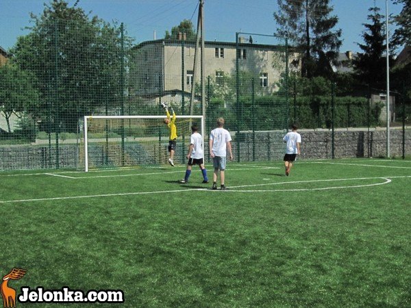 orlik-rozwina-skrzyda-w-sosnowce-34312